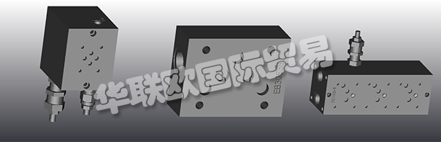 EUROFLUID Hydraulic是一家大型公司，專(zhuān)門(mén)生產(chǎn)液壓設(shè)備的歧管。